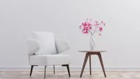 Minimalističen studijski interier